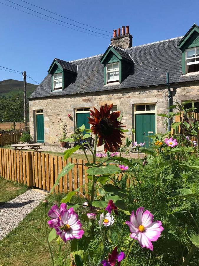 Stable Cottage, Crannachcottages Garve Eksteriør bilde